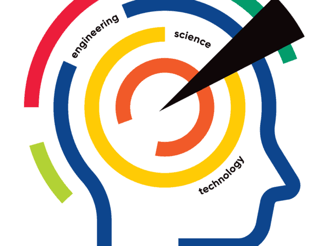 Network Effect brain motif