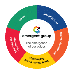 Emergent Group Values