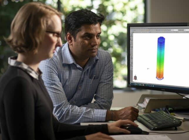 Lily and Ramesh in front of a computer.